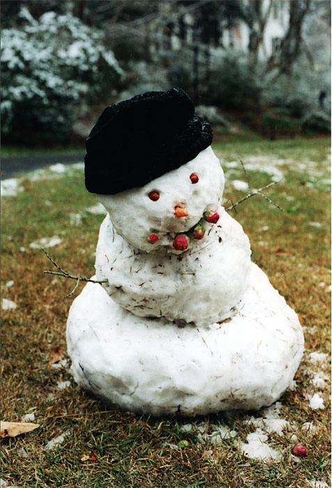 <b>Snowman</b><br><font size=1>by Ro Miller</font>