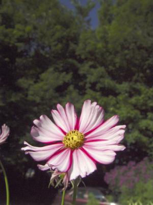 DSC07893_02.jpg