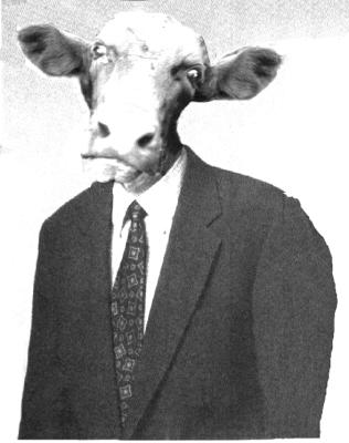 Suitocow.gif