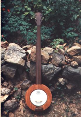 Fretless banjo pecan top.jpg
