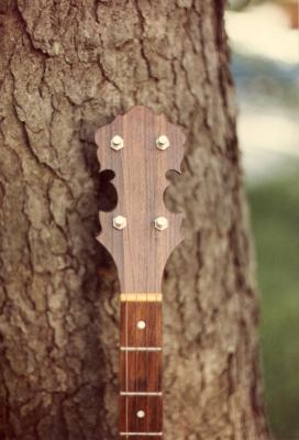 Stewar-Mac banjo peghead detail.jpg