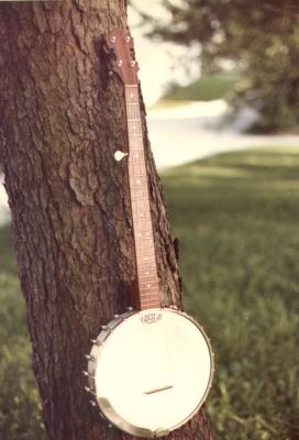 Stewar-Mac banjo.jpg