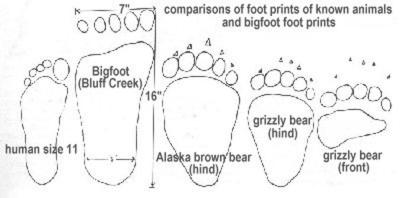 Foot2.JPG