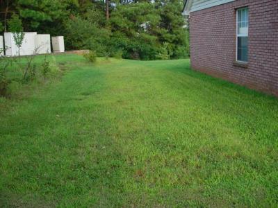 2105-grass.jpg