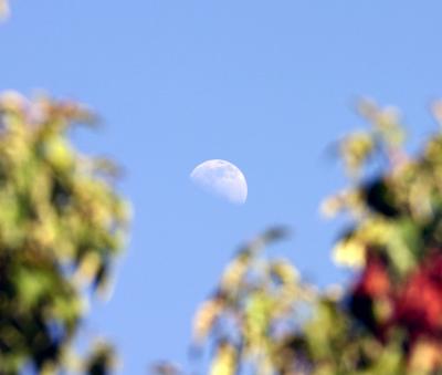 A shot of the moon in the late afternoon