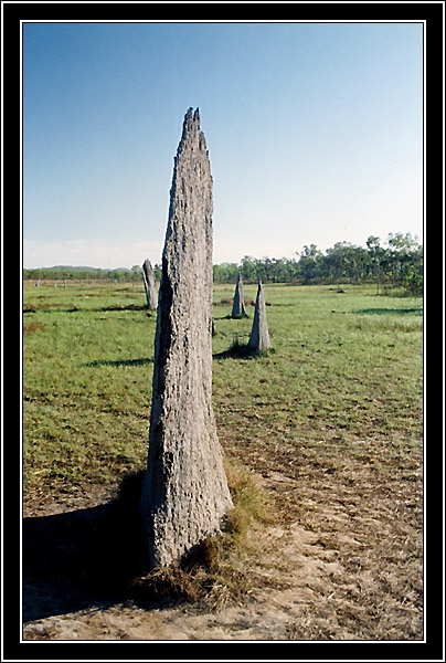 Magnetic Termite Mound, Lichfield NP