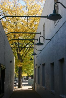 u20/tom_mcfarland/medium/36525277.ScavHuntBeauty1.jpg