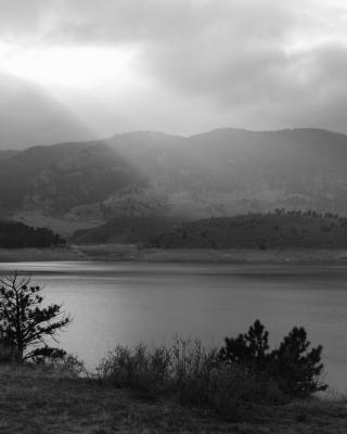 _MG_7685-BW-JPG.jpg