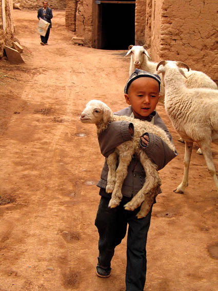 Boy and lamb