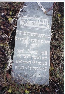 Tzvi Yehuda son of the late Yaakov Yoshua BIRNBAUM
Died: Av,5684(August,1924)

(there is an acrostic within an acrostic - T.Y.B.B. (abbreviated version of name going down the right side) and (the first, middle and surname spelled out within the final 4 lines)
(gravestone needs more translation)

#####

Tzvi Yehuda (HersLeib) BIRNBAUM lived from 1844-1924.  He was married to Sheindel Lea BIRNBAUM whose gravestone is also, in this cemetery.

About half of their children were born in Nowy Sacz, Poland.