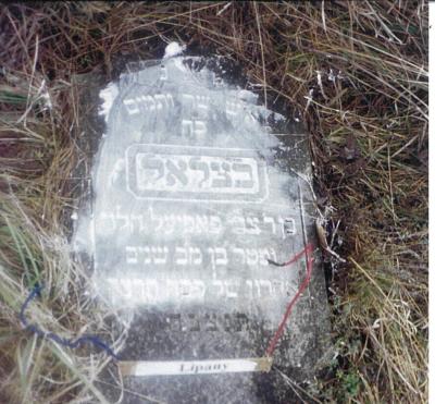 Bezalel son of Tvi KOPPEL H'Levi
died at 42 years old, last day of Passover