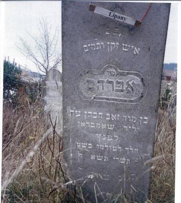 Avraham son of Zev H'Cohen SHAMBRAUN
Died: Tishrei 5702(October 1940)