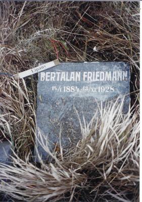 Bertalan FRIEDMANN

Born: January 14?, 1884
Died: November 13, 1928