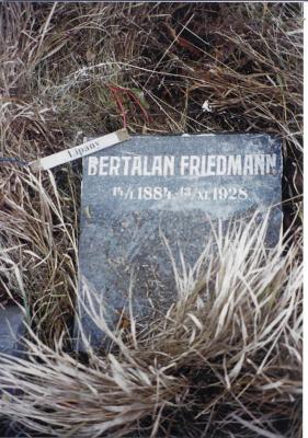 Bertalan FRIEDMANN
Born: January 14?, 1884
Died: November 13, 1928