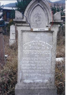 Shlomo Yehoshua son of Yisakhar Dov SHTAMBERGER