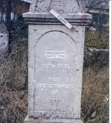 Miriam daughter of Eliezer
4th day of Adar II 5681
(March 14, 1921)