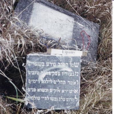 Samuel
(Note: acrostic poem on right side of gravestone - the first letter of each line spells the name Samuel when reading from top to bottom)