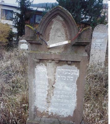 Tamarel daughter of....

(Acrostic poem down right side of gravestone)