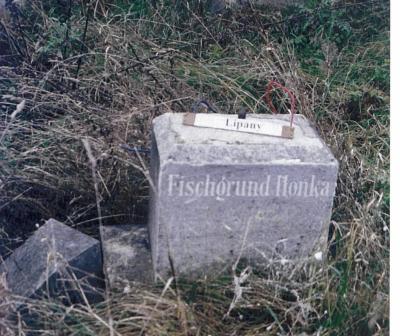 LLonka FISCHGRUND (possibly, Leni Low Fischgrund born about 1845)