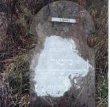 Mechel/Michael son of Mordechai SCHLESINGER