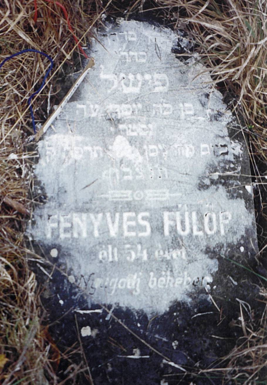 Feisel (Fulop) FENYVES son of Josef-#106