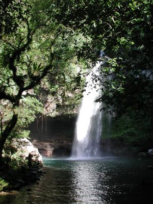 A gorgeous waterfall