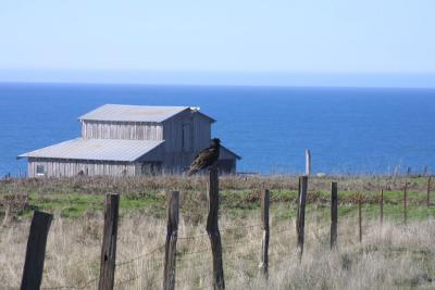 View along the coast