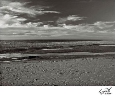 Beach on Lake Michigan at Warren Dunes  BW