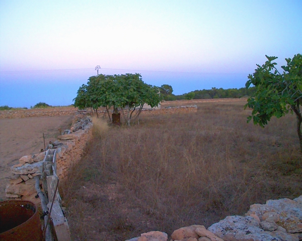 En el Campo, Ses Bardetes