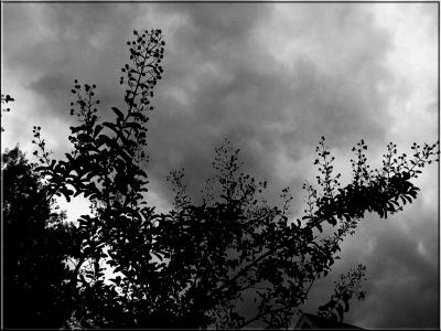 ominous sky