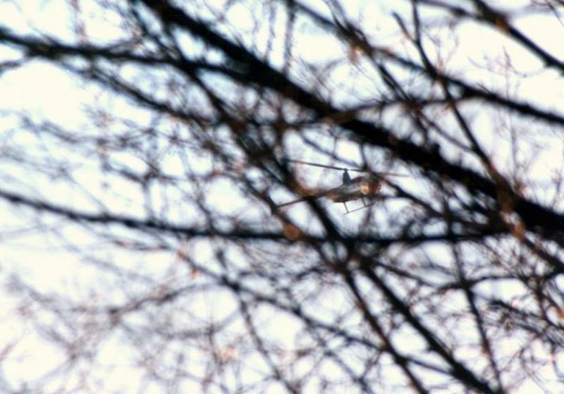Milwaukee::Chopper thru the trees