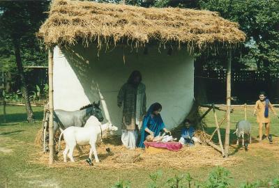 Calcutta - Nativity4