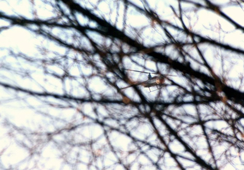 Milwaukee::Chopper thru the trees