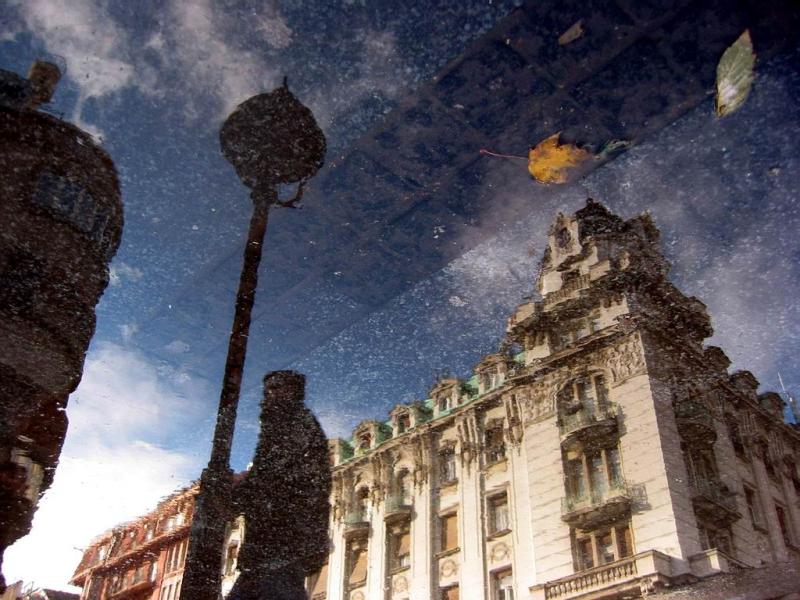 Reflection in Puddle, Belgrade