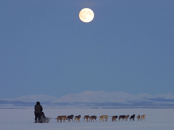 Full-moon run