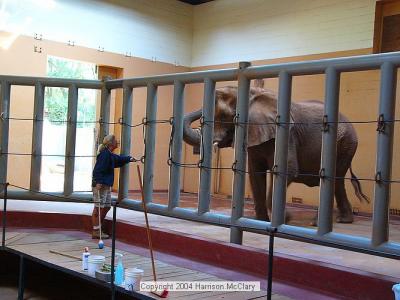 whm-zooatl0002.jpg