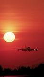 DC8 landing sunset aviation stock photo #SS9934p