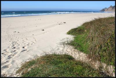 Afternoon Beach Lincoln City