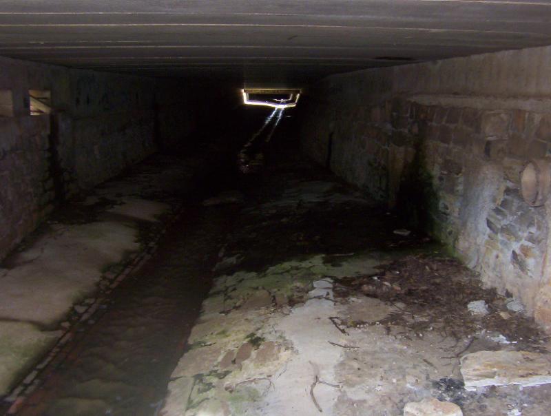 Maryborough Darkie victoria.jpg
