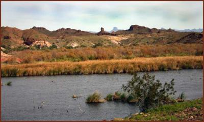 Smoke Tree Lookout