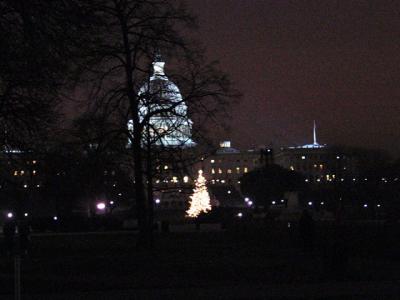 Capitol Christmas Tree, West Side of US Capitol