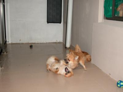 Oct28_02_288.jpg