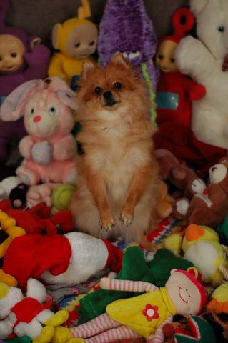 Nov20b_04_159.JPG