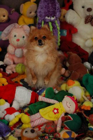 Nov20b_04_221.JPG