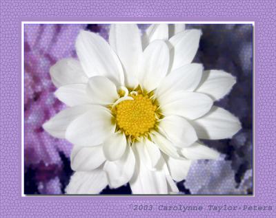 Mosaic Daisy