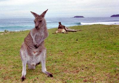 South Coast, NSW