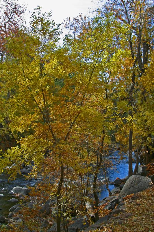 Oak Creek Sedona AZ