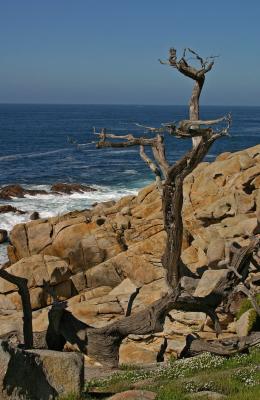 17 Mile Drive