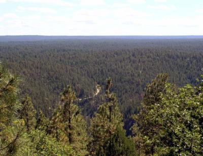 Post Cards From The Mogollon Rim