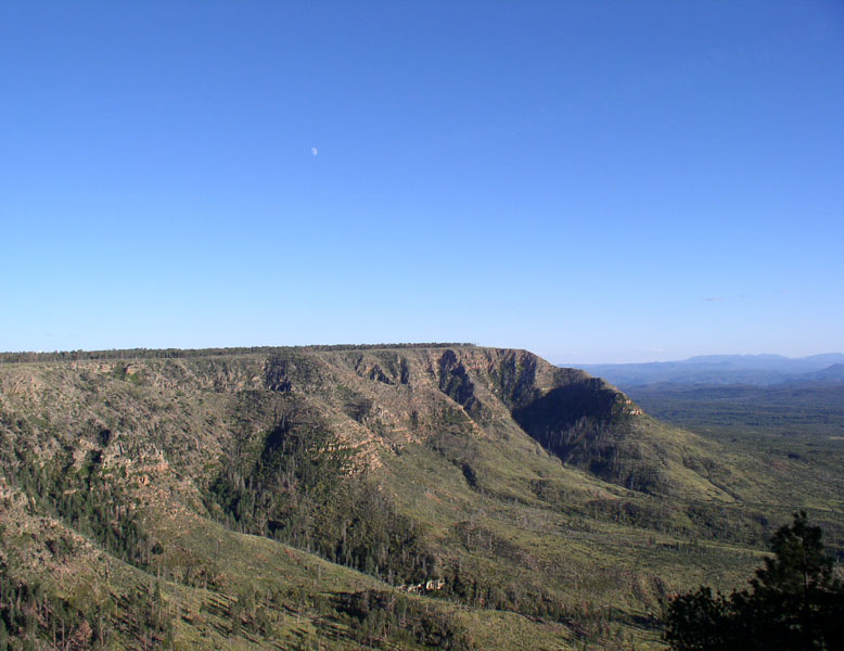 PB040754.jpg